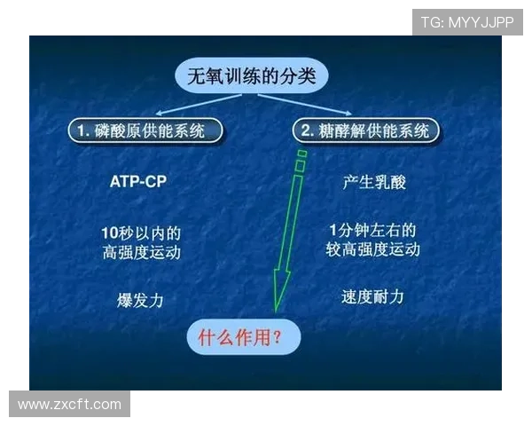 武汉羽毛球队的防反战术解析与深度剖析